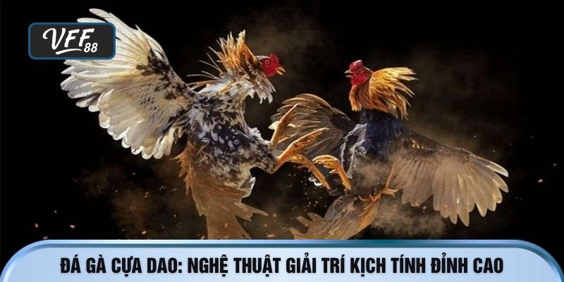đá gà cựa dao