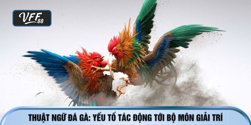 thuật ngữ đá gà